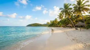Spiaggia tropicale tranquilla con mare turchese, sabbia bianca e palme, ideale per vacanze al caldo tutto l'anno