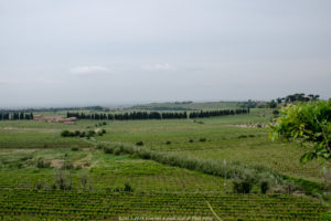 terre vino ospitali panorama vigneto